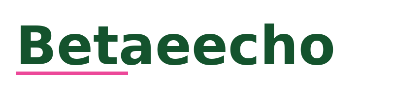 Betaeecho logo